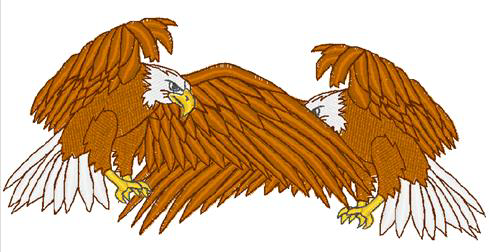 Description: Description: S:\_working\_John Deer\DensityRepairKit\Manual\Double Eagle.bmp Description: Description: S:\_working\_John Deer\DensityRepairKit\Manual\Double Eagle.bmp