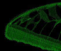 Description: S:\_working\_John Deer\DensityRepairKit\Manual\De-Clump Before.bmp